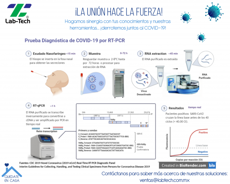 Prueba diagnostica de COVID-19 por RT-PCR
